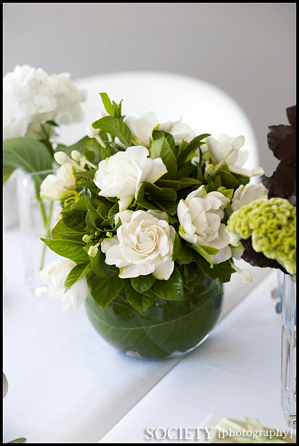 Table Centrepieces